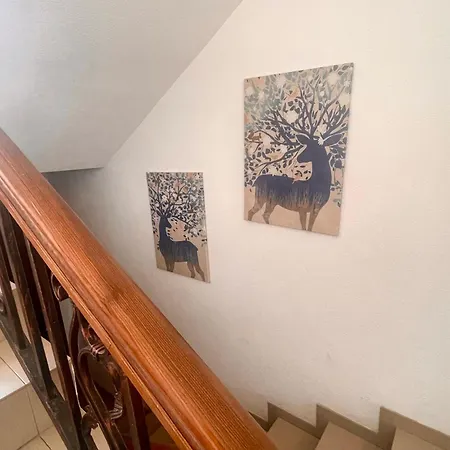 алида 4* Sapareva Banya