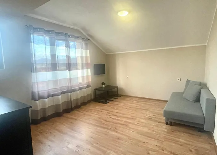 алида Pensjonat Saparewa Banja