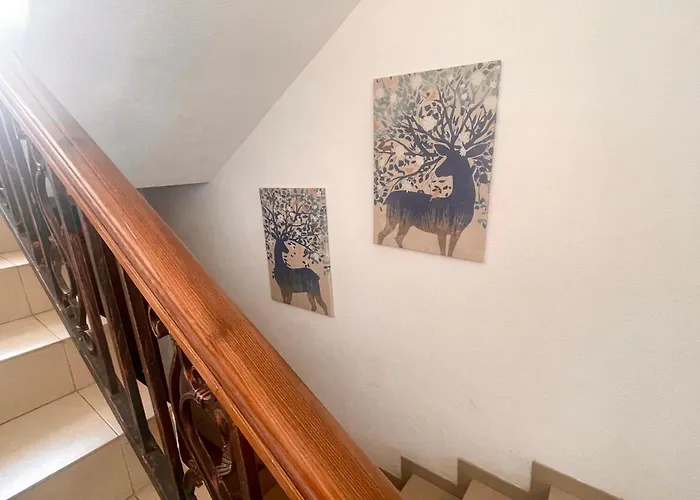 алида 4* Saparewa Banja